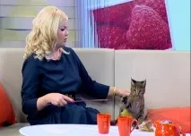 Кубань 24 мені