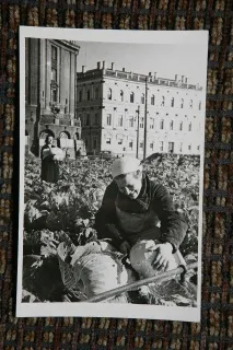 Ленінградці Чим сильніше нас тиснули, тим активніше ми чинили опір ленінградці