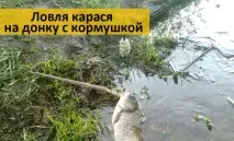 вудку