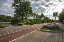 Лужники, Спортивний комплекс спортивний