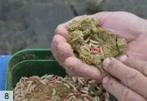 Лін весняних розливів - Спортивне рибальство линя
