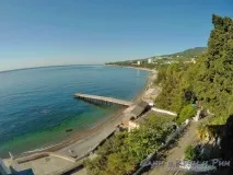 своїми