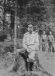 Особа Миколи II, Історія української імперії миколи