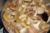 Мариновані маслюки з неочищеним капелюшком рецепти маринування неочищених маслюків двома способами маслюки