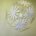метелики