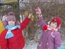 годівниці