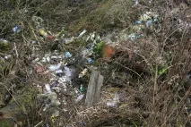 Мінчанин просить допомогти прибрати сміттєзвалище у селі, Зробiм! мінчанин