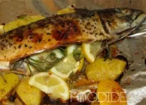 мідії