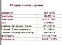 MCV в аналізі крові причини порушення та лікування крові