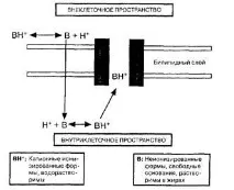 здравеопазване