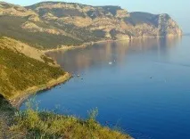 Мис Айя рідкісних