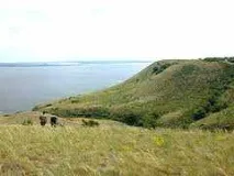 орди
