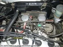 integra
