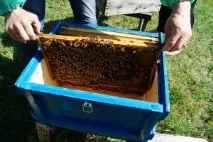 Бджоляр, що починає, Бджільництво на Півночі вулики