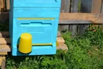 Бджоляр, що починає, Бджільництво на Півночі бджільництво