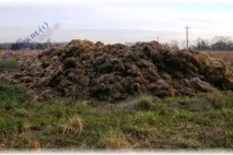городу
