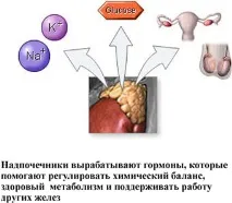 симптоми