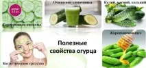 Огірок користь для організму як вибирати та готувати огірок