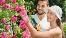 Овен і Діва сумісність жінки та чоловіка в коханні діва