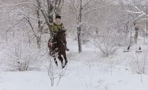 Хлопці у кінному спорті своє