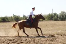 Хлопці у кінному спорті своє майбутнє