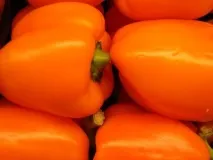 Перець болгарський вирощування від - А - до - Я вирощування