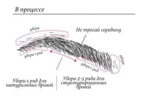 разновидности