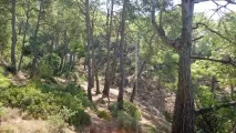 Пляж Kabak, містечко Faralya, район Fethiye kabak