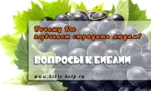 Чому Бог дозволяє страждати людям, Вивчення Біблії чому