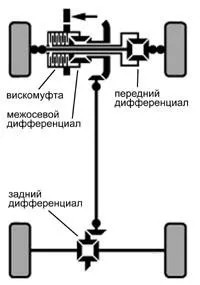 задній
