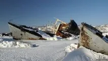 Занурення з аквалангом у води холодних широт занурення