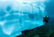 Занурення з аквалангом у води холодних широт води