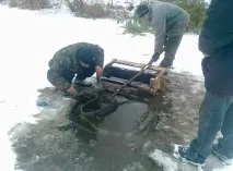 риби