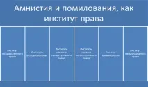 Процедура амністії та помилування - Амністія та помилування амністії