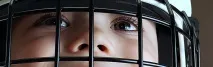 Психологічна Студія Поліни Гавердовської, Психологія хокею гавердовської