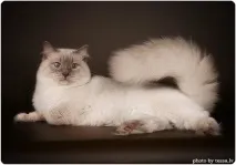 фото