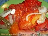 помідори