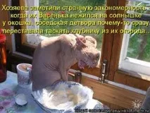 реституція