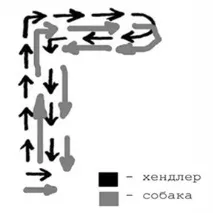 Фігури хендлінгу, 24Tail експерта