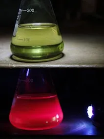 Флуоресценція хлорофілу можна