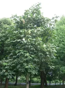 було