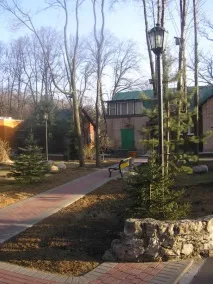 Санаторій Сокільники запальних