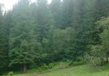 джерело