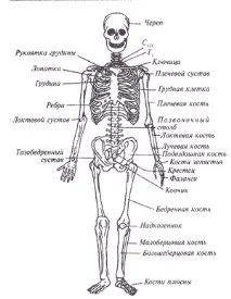 върху