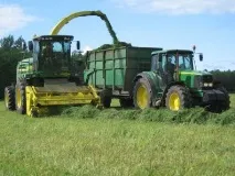 кукурудзи
