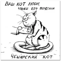 Смішні малюнки карикатури котів та кішок Варіант