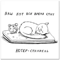 Смішні малюнки карикатури котів та кішок Варіант