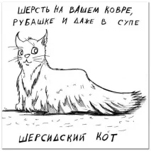 Смішні малюнки карикатури котів та кішок малюнки