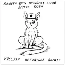 Смішні малюнки карикатури котів та кішок смішні