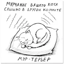 Смішні малюнки карикатури котів та кішок малюнки